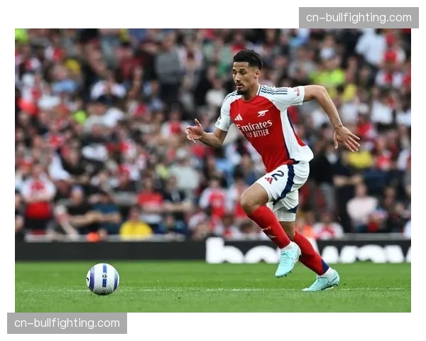 阿森纳萨利巴加布里埃尔组合成型 对抗成功率超85%铸就钢铁防线